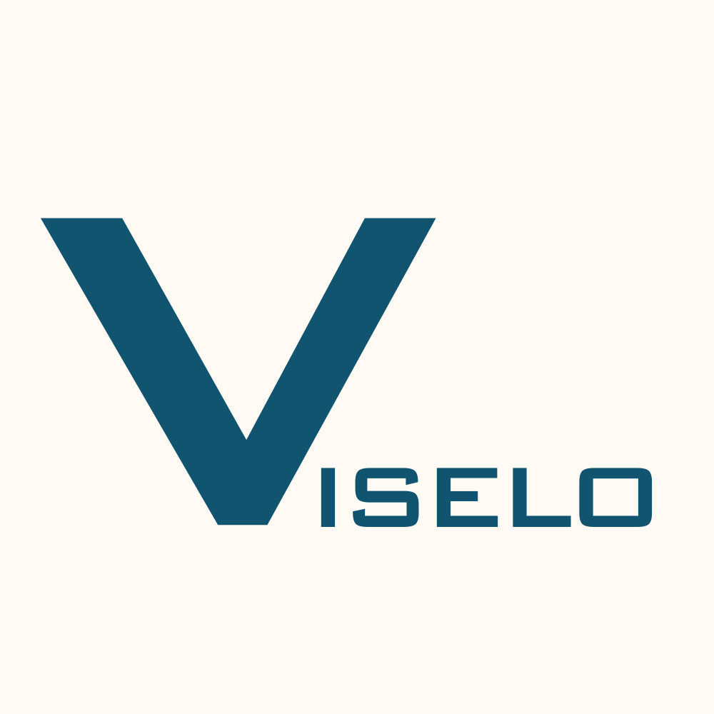 Viselo SEO logo